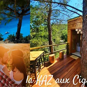 https://cabane-dans-les-arbres-la-kaz-aux-cigales.fr-provencehotel.com